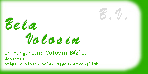 bela volosin business card